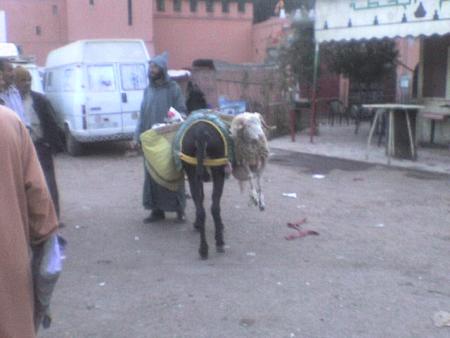souk